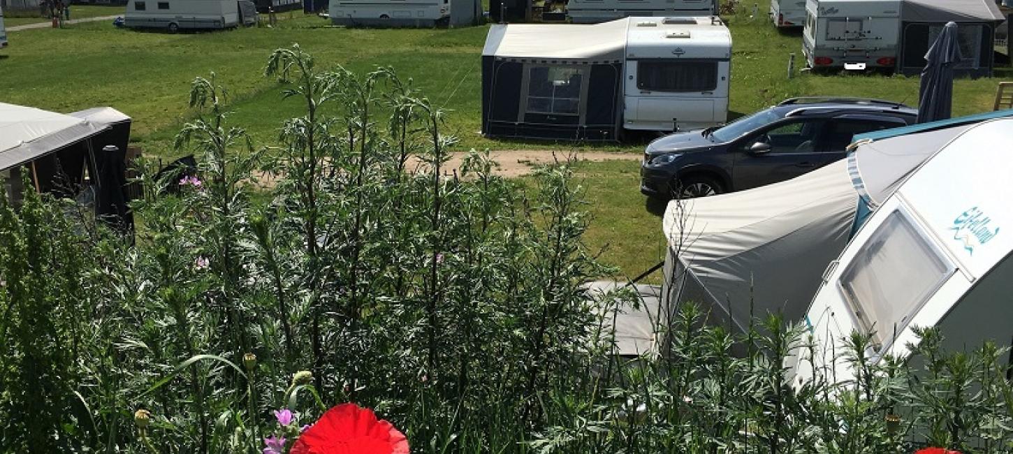 løgismose strandcamping