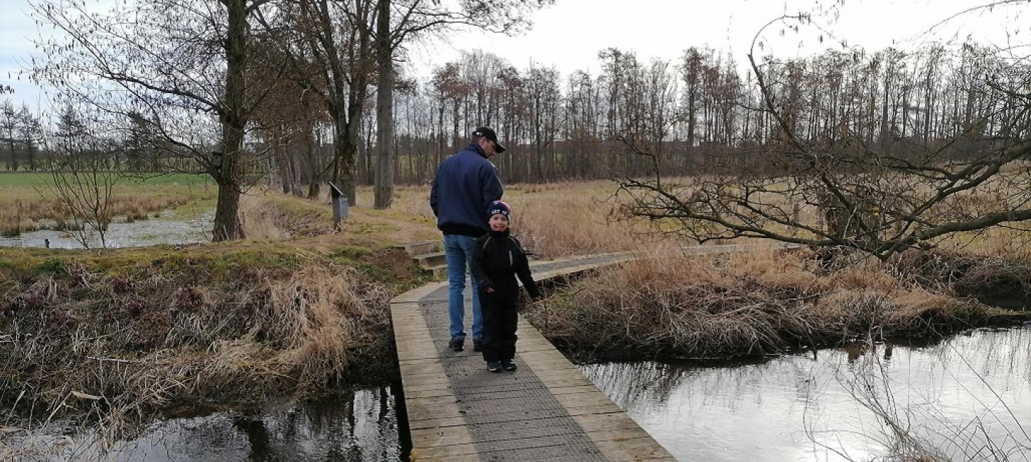 vådområde Haarby