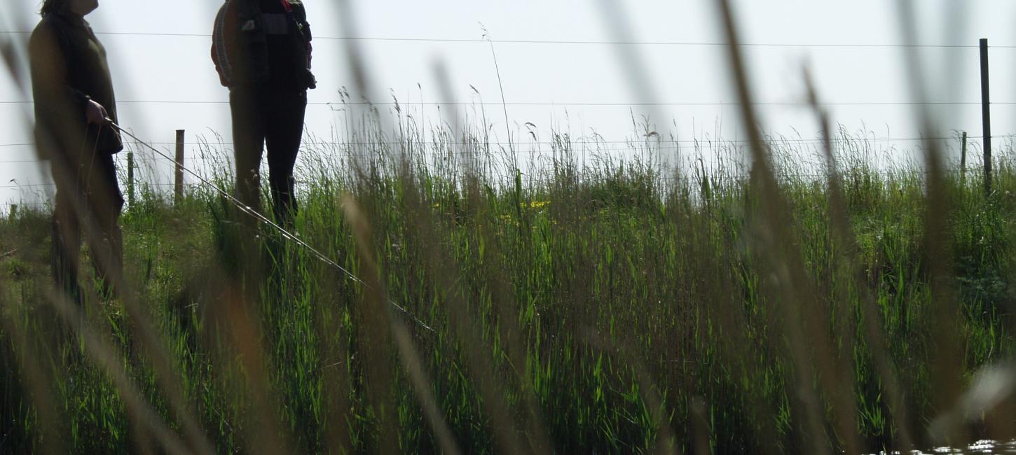 Fiskepladser i Assens Kommune | VisitAssens