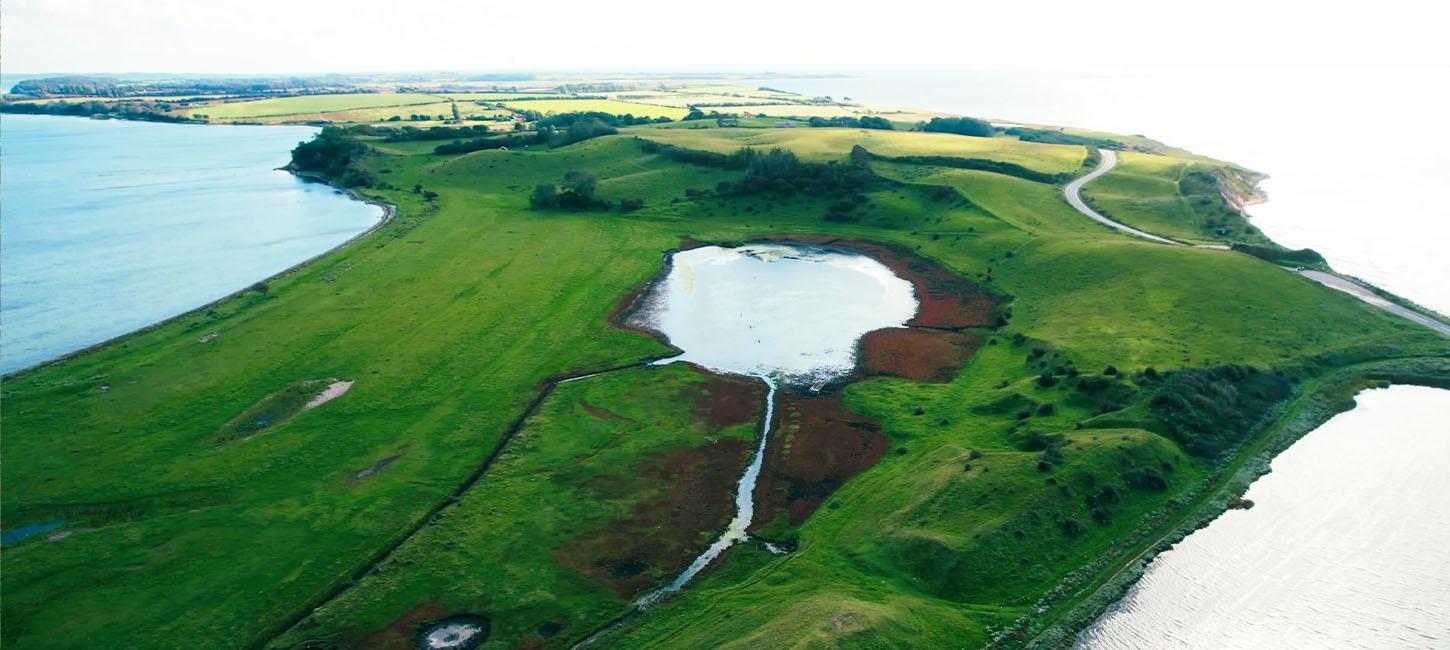 Natur i Assens - Helnæs dæmning