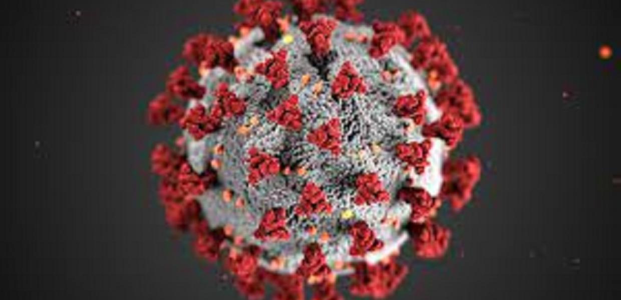 virus corona