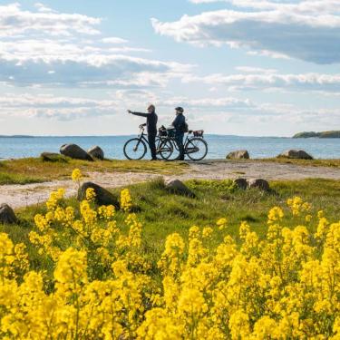 vestfyn cykelferie strand og natur