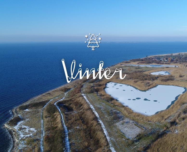 Vinter i Assens