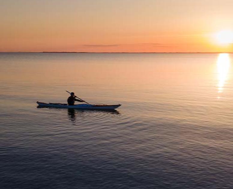 Sommer i Assens og på Vestfyn